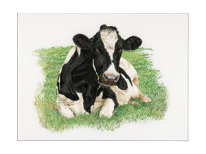 Thea Gouverneur borduurpakket 451 Koe ( voorkant) 60 x 45 cm