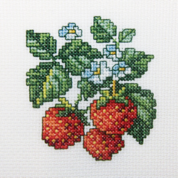 RTO Borduurpakket 10 x 10 cm Wild Strawberries