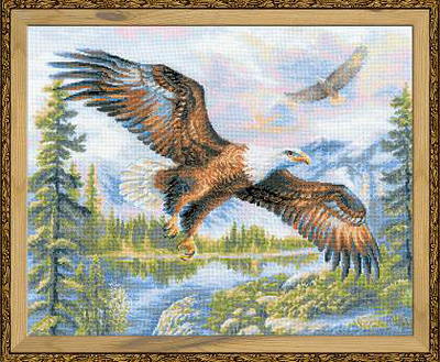 Riolis Borduurpakket Vogel 50x40 cm