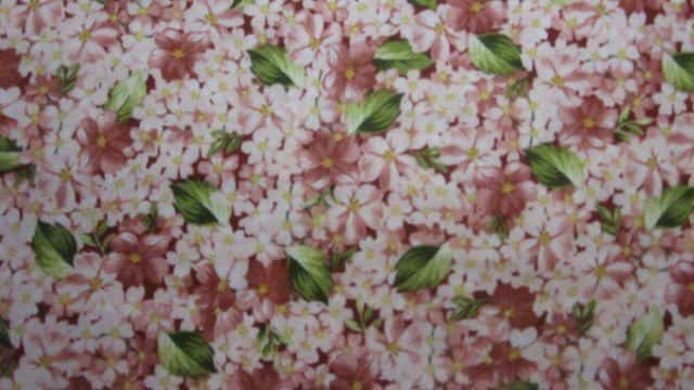 Quiltstof maat 50x55 cm  Rinske Stevens Maywood Studio Roses on the Vine by Marti Michell  8434-R