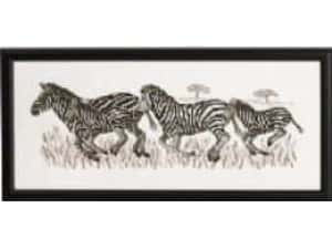 Borduurpakket Zebra 36x15cm