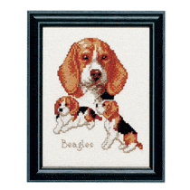 Pako telpakket Beagles 210.841