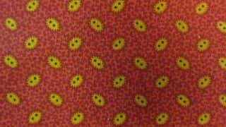 Quiltstof op rol 110 cm breed Moda New Hope Jo Morton 38038-13