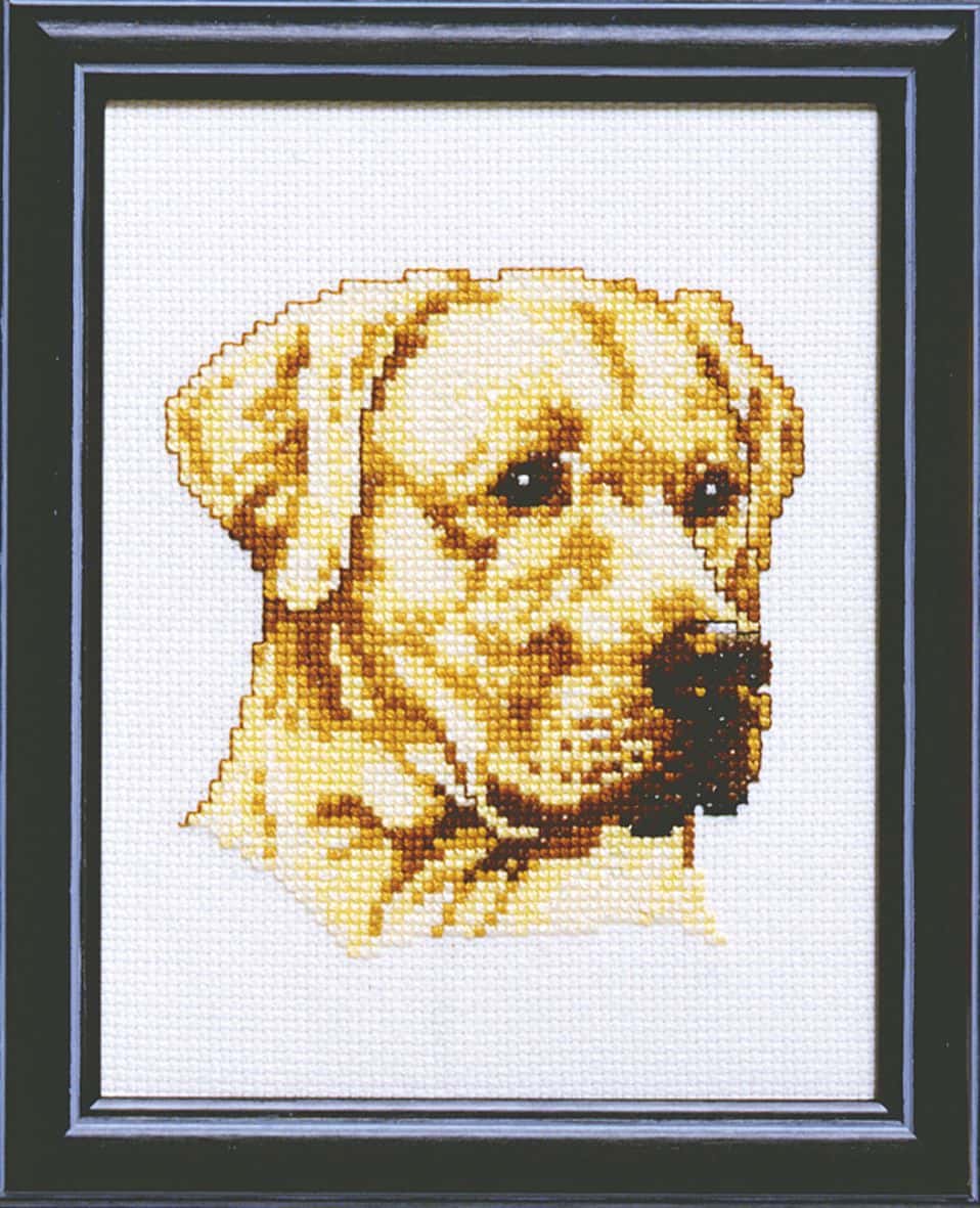 Pako borduur telpakket labrador 13 x 17 cm