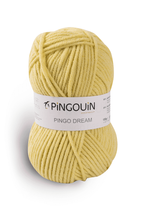 Pingouin pingo dream kleur 2
