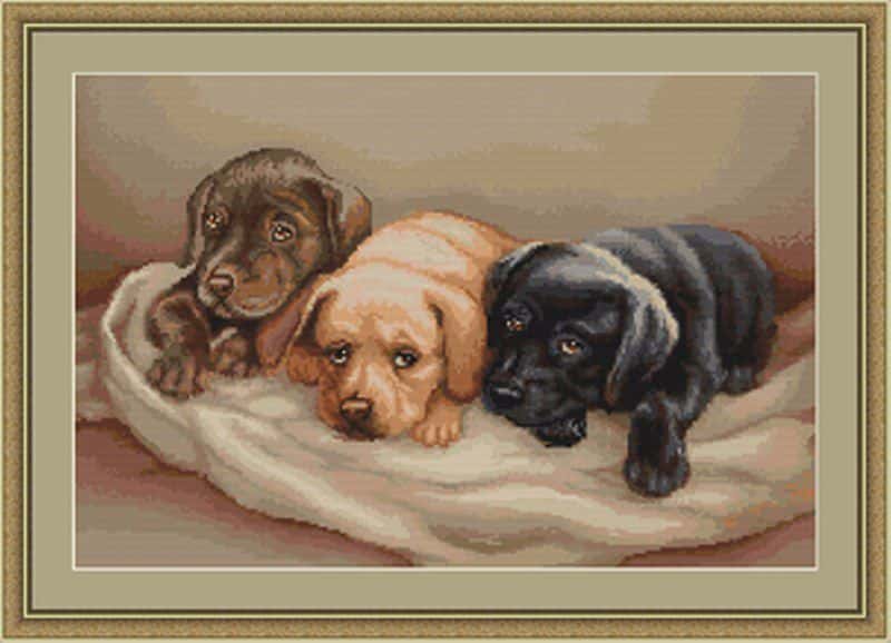 Luca-S borduurpakket Puppy Dog Trio 35x25.5 cm LS-B434