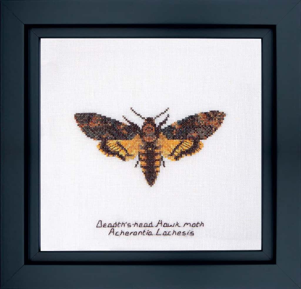 The Gouverneur borduurpakket DEATH'S-HEAD HAWK MOTH  21x21cm