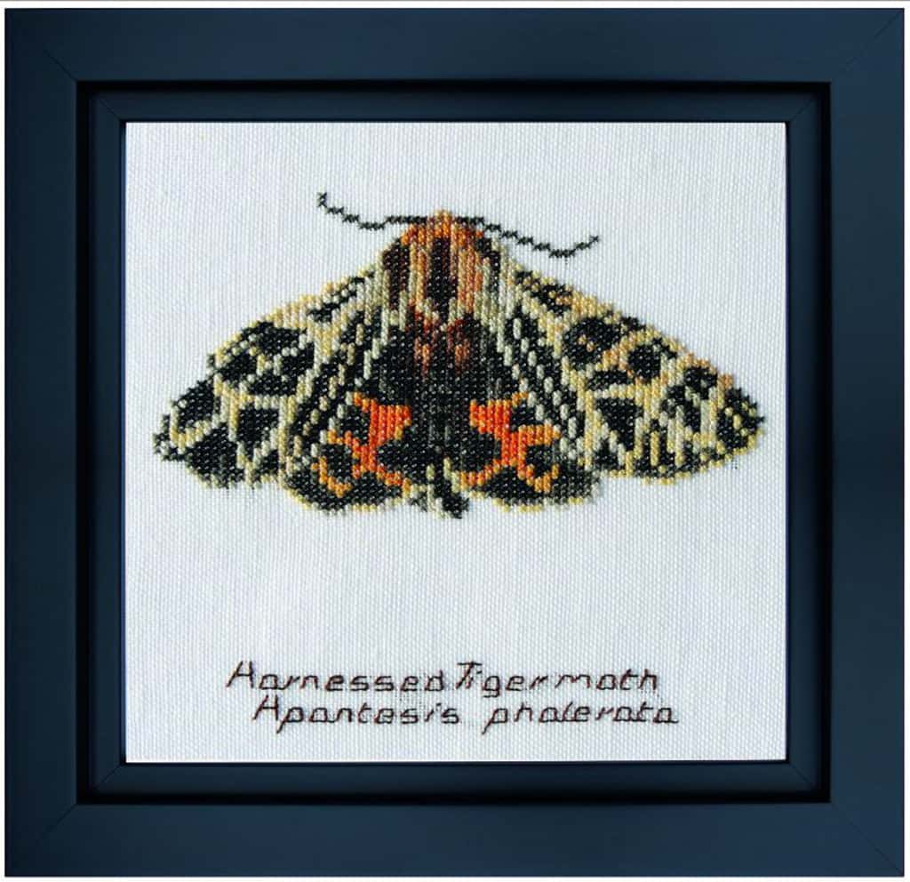 Thea Gouverneur borduurpakket aida Spurge Hawk moth 21 x 21 cm
