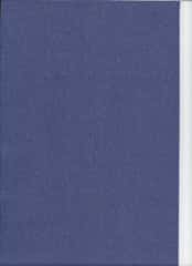 TrueFelt wolvilt 30x20 cm kleur VLAP 561
