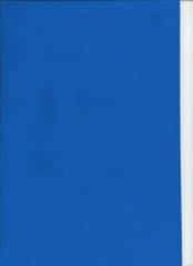 TrueFelt wolvilt 30x20 cm kleur VLAP 559