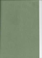 TrueFelt wolvilt 30x20 cm kleur VLAP 563