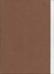 TrueFelt wolvilt 30x20 cm kleur VLAP 609