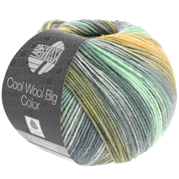 Lana Grossa Cool Wool Big kleur 4025