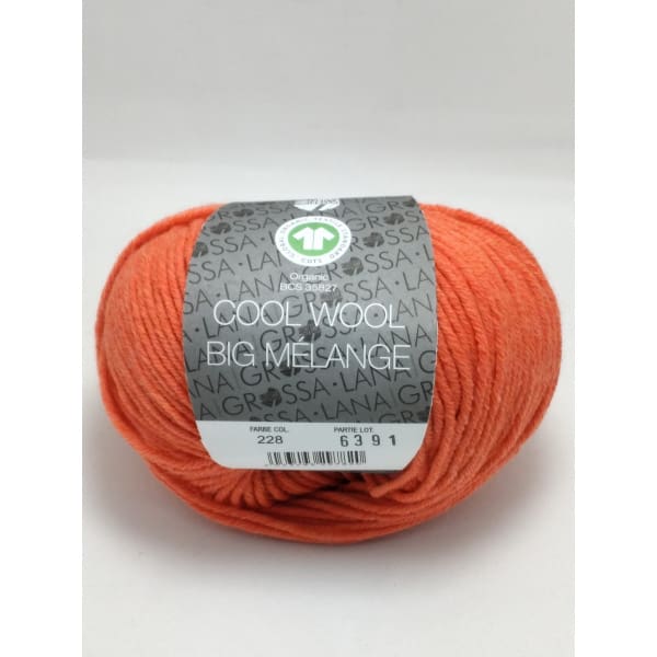 Lana Grossa Cool Wool Big Melange kleur 228