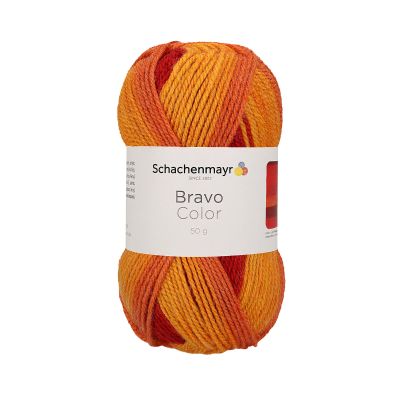 Schachenmayr Bravo Color kleur 2143