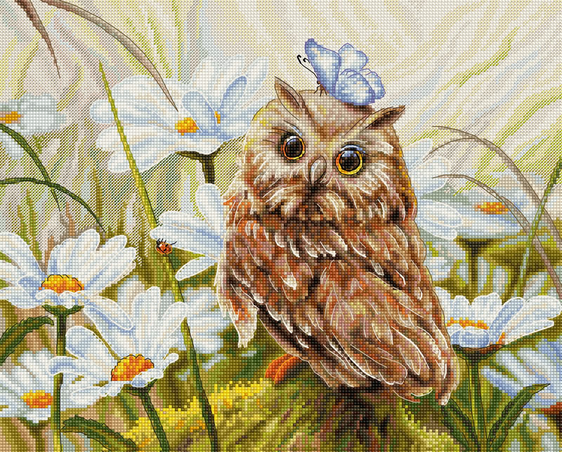 Luca S borduurpakket LUCKY OWL 30 x 24 cm