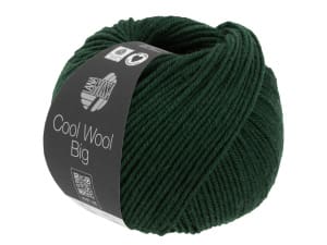 Lana Grossa Cool Wool Big kleur 1613