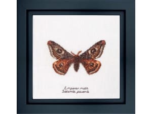 Thea Gouverneur borduurpakket aida Emperor moth 21 x 21 cm