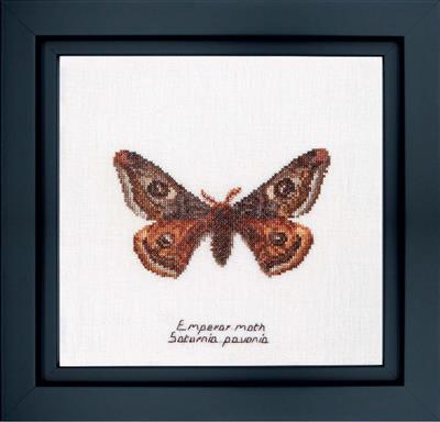 Thea Gouverneur borduurpakket aida Emperor moth 21 x 21 cm