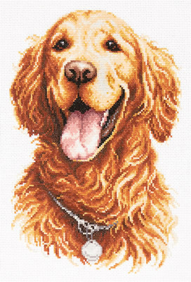 Borduurpakket Golden Retriever Magic Needle 20 x 28 cm