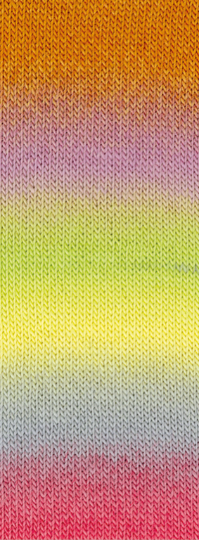 Lana Grossa Meilenweit Color Mix Multi kleur 8006