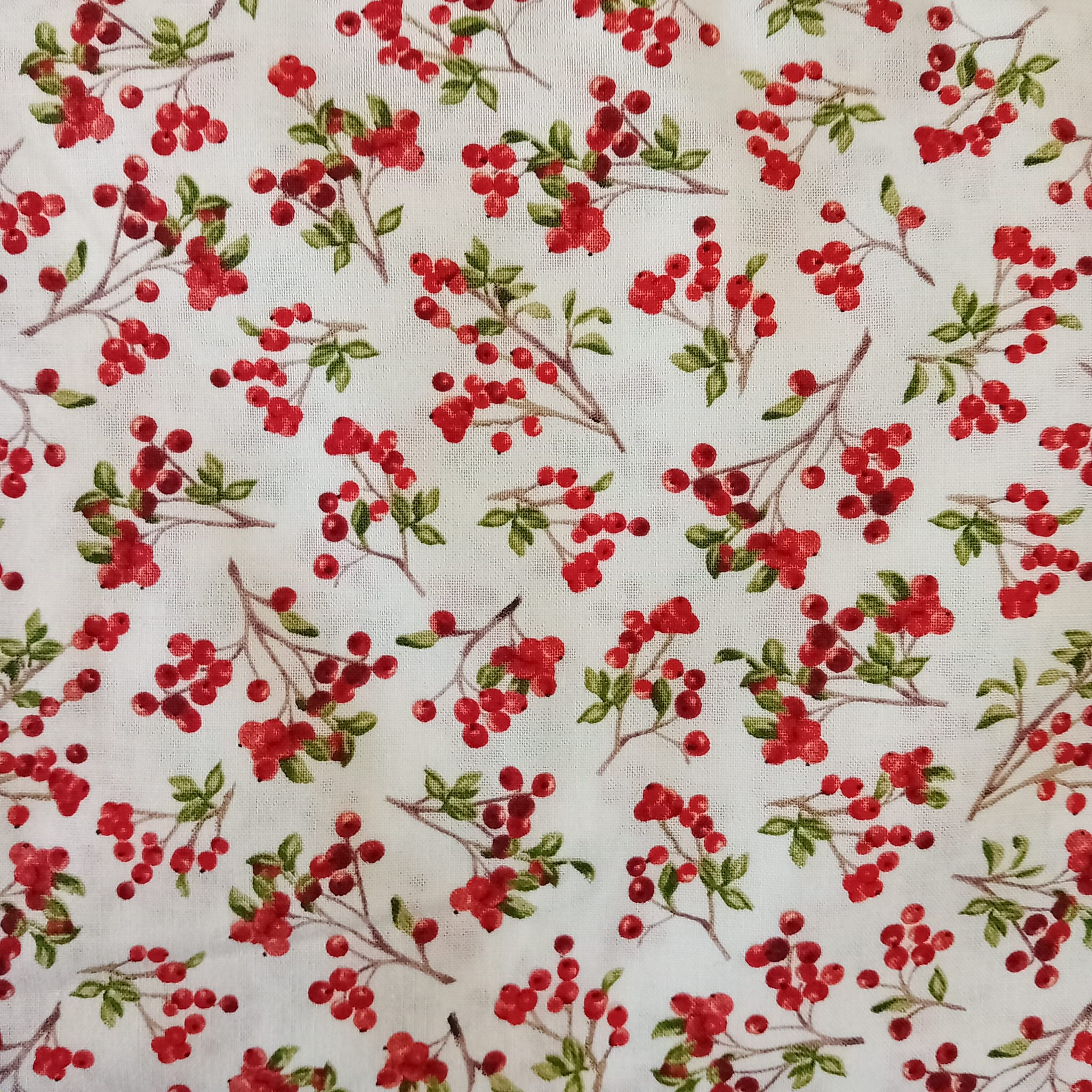 Quiltstof op rol Windham W Fabrics Winter Cardinals 39006-1