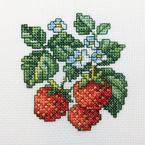 RTO Borduurpakket Wild Strawberries h251 10 x10 cm