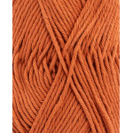 Phil Coton 4 kleur 2379 Terracotta