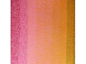 Scheepjes Whirl kleur 793 Goji Sorbet Dream