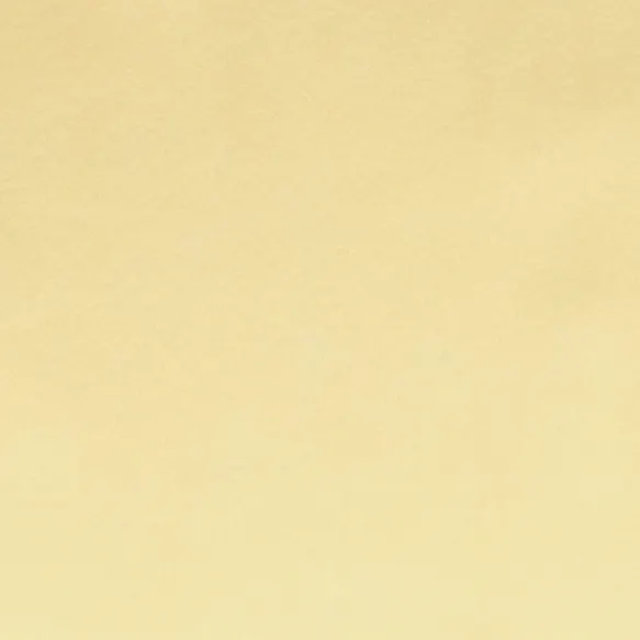 10100-009_1 Vilt 2 mm dik kleur 009 20 x 30 cm 100% Acryl