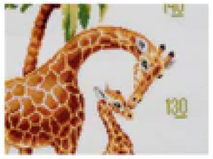 Thea Gouverneur borduurpakket Groeimeter Safari Aida 25 x 110 cm.. - Afbeelding 4