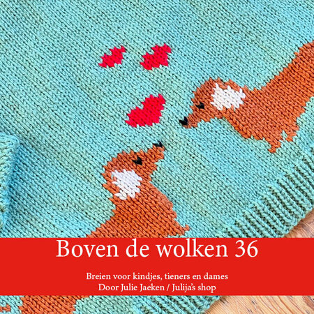 Boek Boven de wolken 36 breien voor kindjes tieners en dames