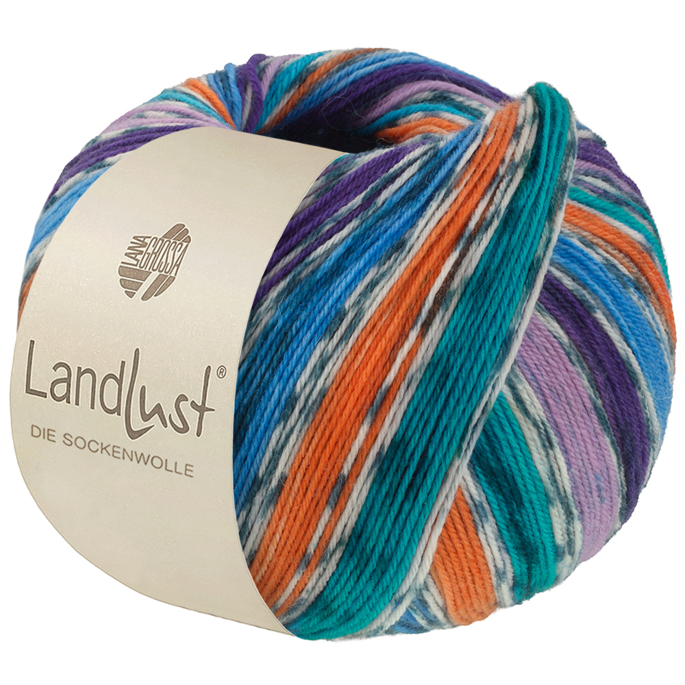 Lana Grossa Landlust Die Sockenwolle kleur 821