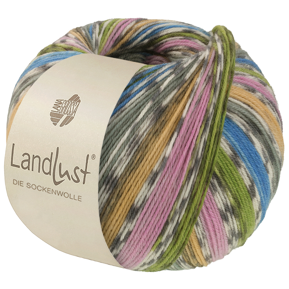 Lana Grossa Landlust Die Sockenwolle kleur 822