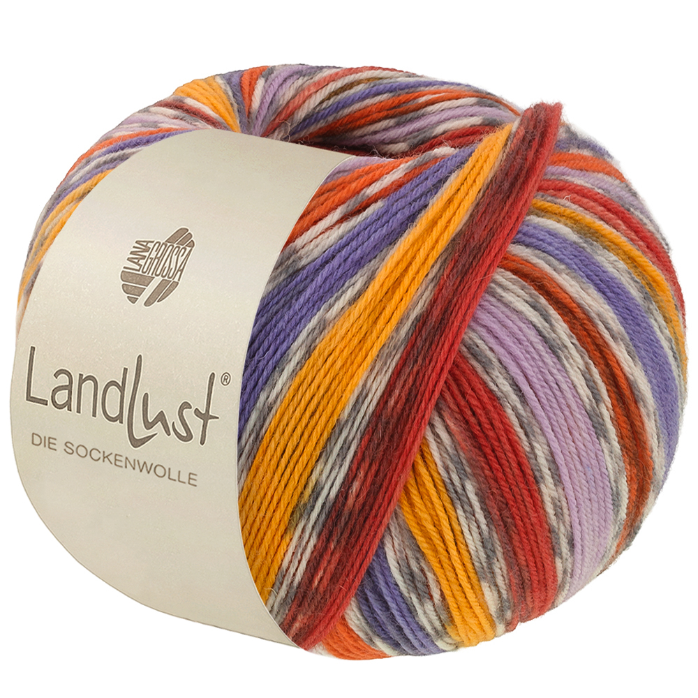 Lana Grossa Landlust Die Sockenwolle kleur 824