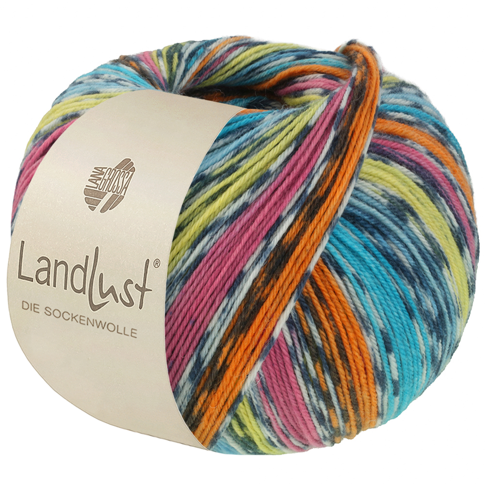 Lana Grossa Landlust Die Sockenwolle kleur 825