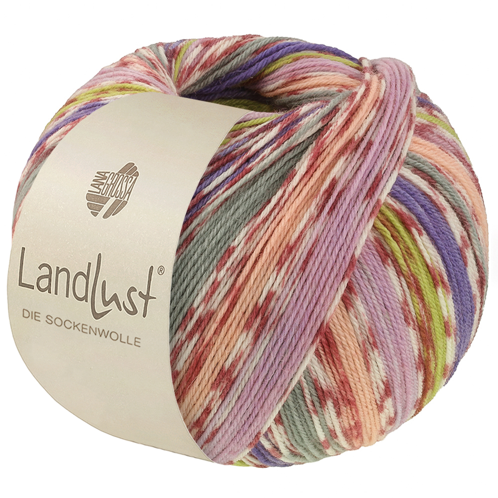Lana Grossa Landlust Die Sockenwolle kleur 826