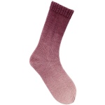 Rico Socks Dégradé 6-draads kleur 002
