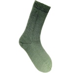 Rico Socks Dégradé 6-draads kleur 007