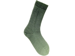 Rico Socks Dégradé 6-draads kleur 007