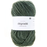 Rico Socks Dégradé 6-draads kleur 007