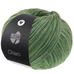 Lana Grossa Chiaro kleur 016