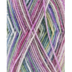 Phildar Phil Socks Merinos kleur 1456 Prairie