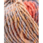 Phildar Phil Colorbig kleur 2119 Colibri