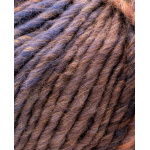 Phildar Phil Colorbig kleur 2349 Prune