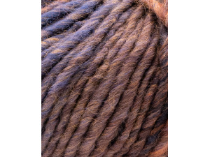 Phildar Phil Colorbig kleur 2349 Prune