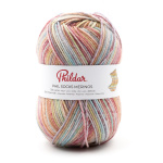 Phildar Phil Socks Merinos kleur 2083 Salade de fruits