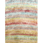 Phildar Phil Socks Merinos kleur 2083 Salade de fruits