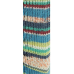 Lana Grossa Meilenweit 6-fach 150 g Aktion kleur 6017