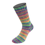 Lana Grossa Meilenweit 150 Inverno kleur 9988 8-fach